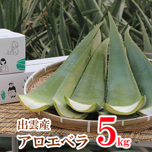 出雲産アロエベラ5kg