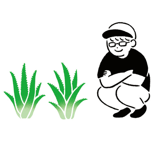 2026年夏のおわり