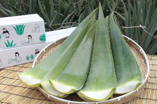 食用のアロエベラの使い方｜容量・価格｜